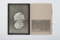 http://paulinawlostowska.com/files/gimgs/th-48_ep10_v2.jpg
