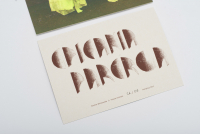 http://paulinawlostowska.com/files/gimgs/th-48_ep29_v2.jpg